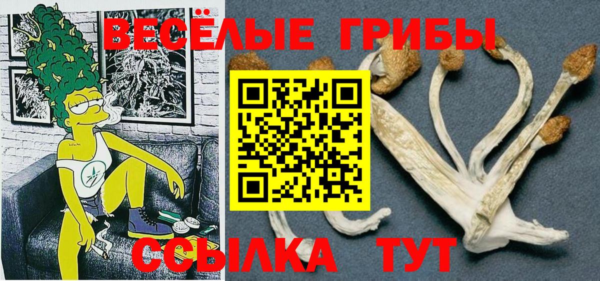 Чернушка  Псилоцибиновые грибы Magic Shrooms  Вход с VPN 